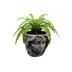 Doniczka 3D PETG Głowa