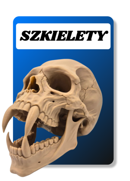 Szkielety_baner