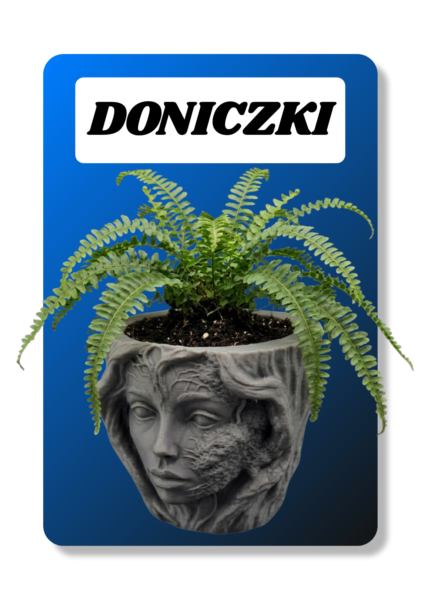 Doniczki_baner