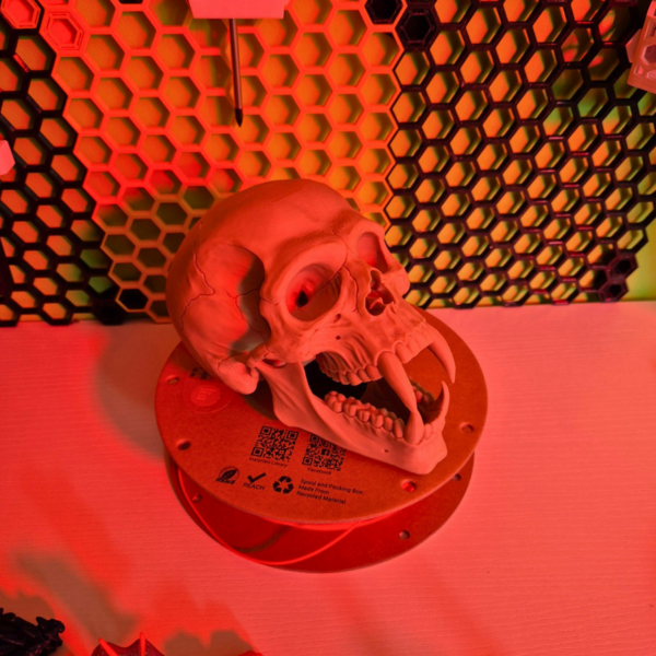 Czaszka wampira 3D