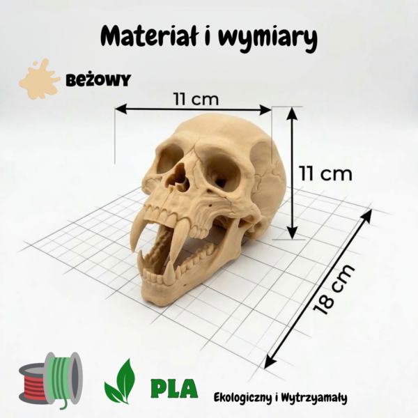 Czaszka wampira 3D