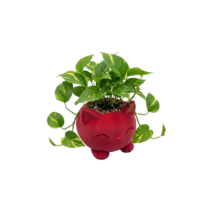 Doniczka 3D Kotek