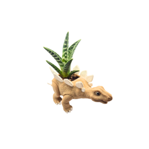 Stegozaur doniczka 3D