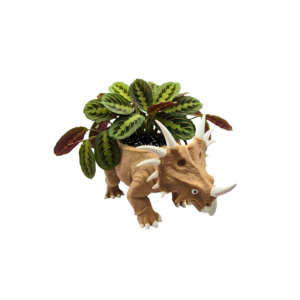 Doniczka 3D dinozaur Styrakozaur